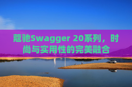 蔻驰Swagger 20系列,时尚与实用性的完美融合 蔻驰Swagger 20系列,时尚与实用性的完美融合